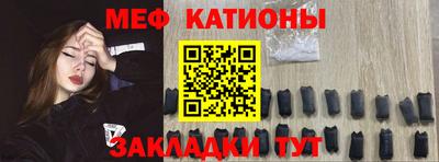 шишки Кингисепп