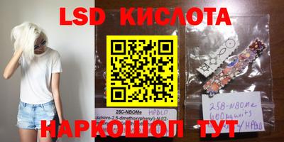 шишки Кингисепп