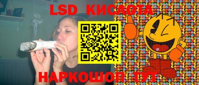 ПСИЛОЦИБИНОВЫЕ ГРИБЫ Кинель