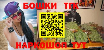 шишки Кингисепп