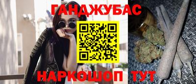 шишки Кингисепп