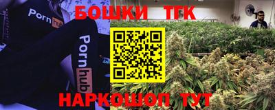 шишки Кингисепп